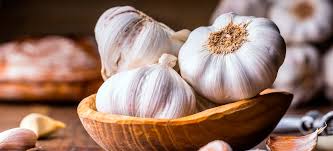 Fresh Garlic